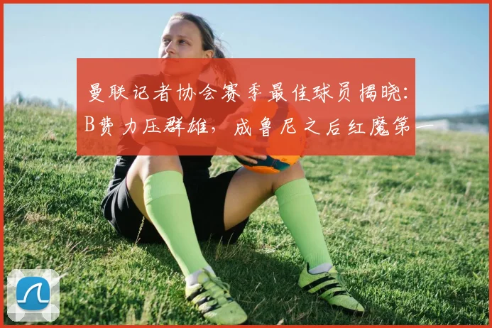 曼联记者协会赛季最佳球员揭晓:B费力压群雄,成鲁尼之后红魔第一人!